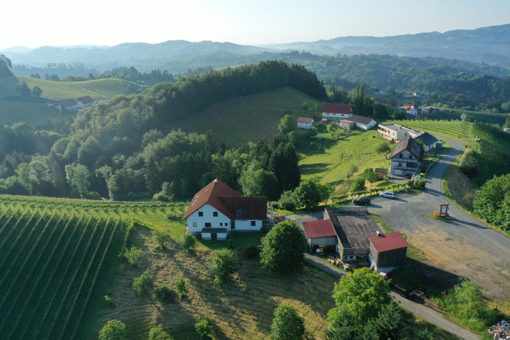 Trautenburg Stub'N Leutschach Exterior foto